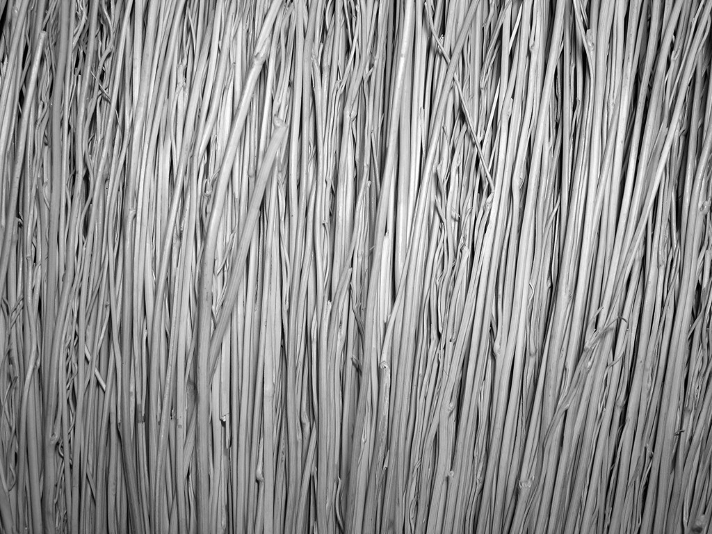 Photography by DaftGretel for DesignCrowd (Community Contests) | Design #9128977