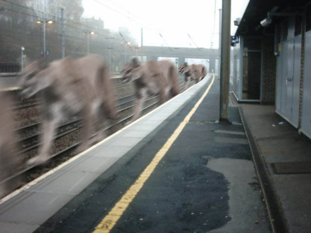 Photoshop-Design von themanwhofellasleep für DesignCrowd (Community Contests) | Design #9112022