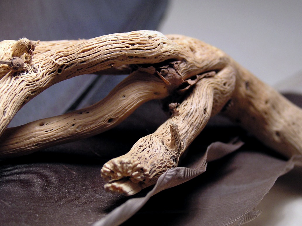 Photography by Tommy1de for DesignCrowd (Community Contests) | Design #9128975