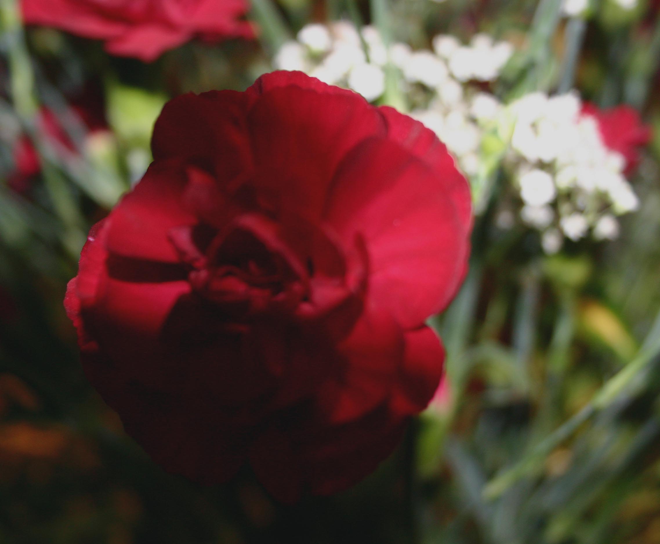 Fotografía por Roick para DesignCrowd (Community Contests) | Diseño #9123563