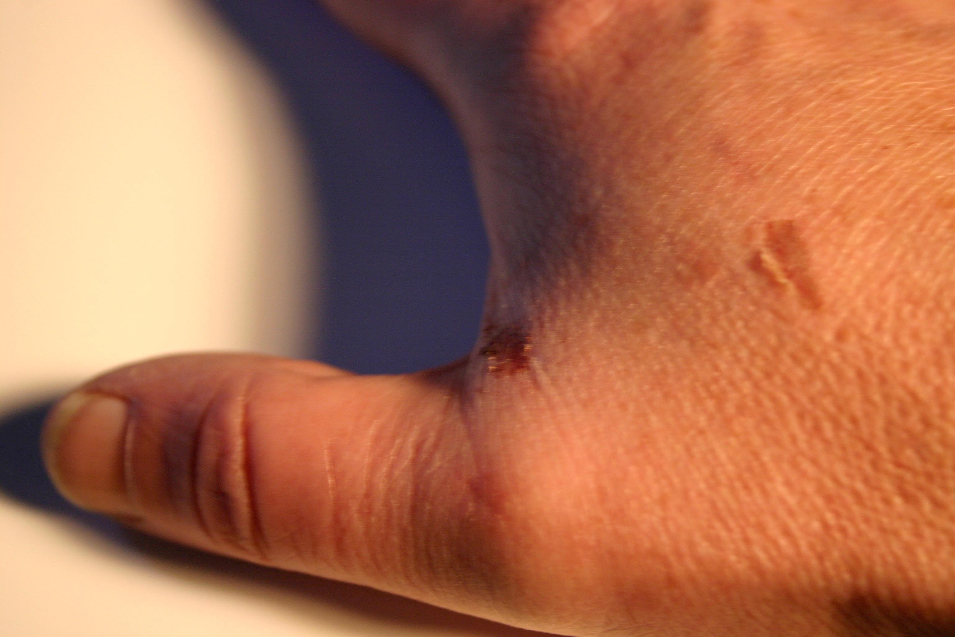 Fotografía por Roick para DesignCrowd (Community Contests) | Diseño #9128973