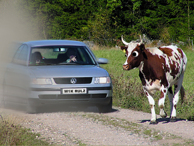 Diseño de Photoshop por Memosmos para DesignCrowd (Community Contests) | Diseño #9112087