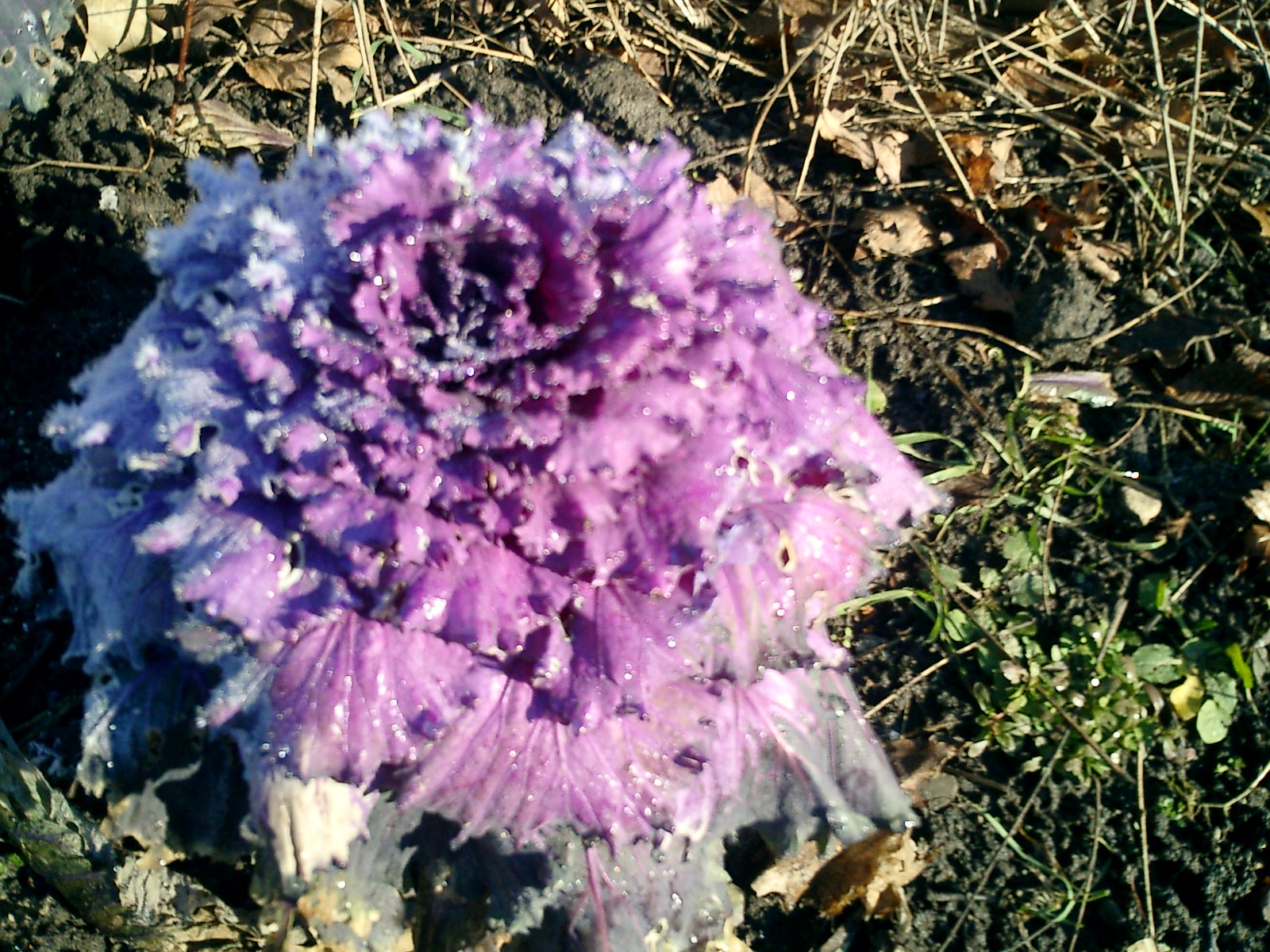 Photography by vipez for DesignCrowd (Community Contests) | Design #9123623