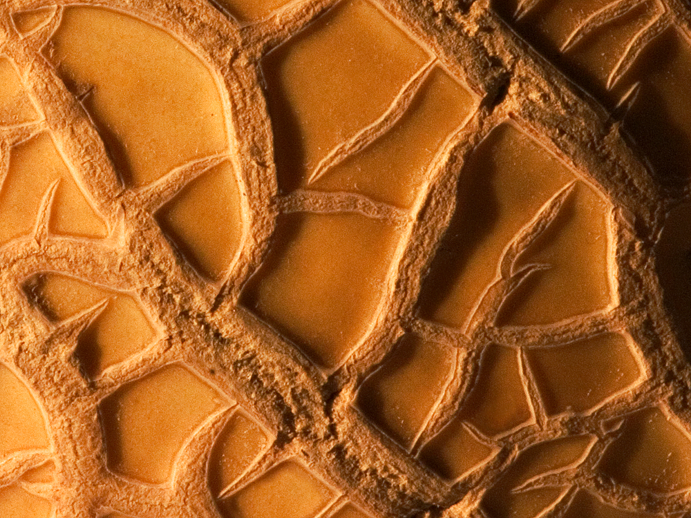 Photography by cats4dogs for DesignCrowd (Community Contests) | Design #9129192