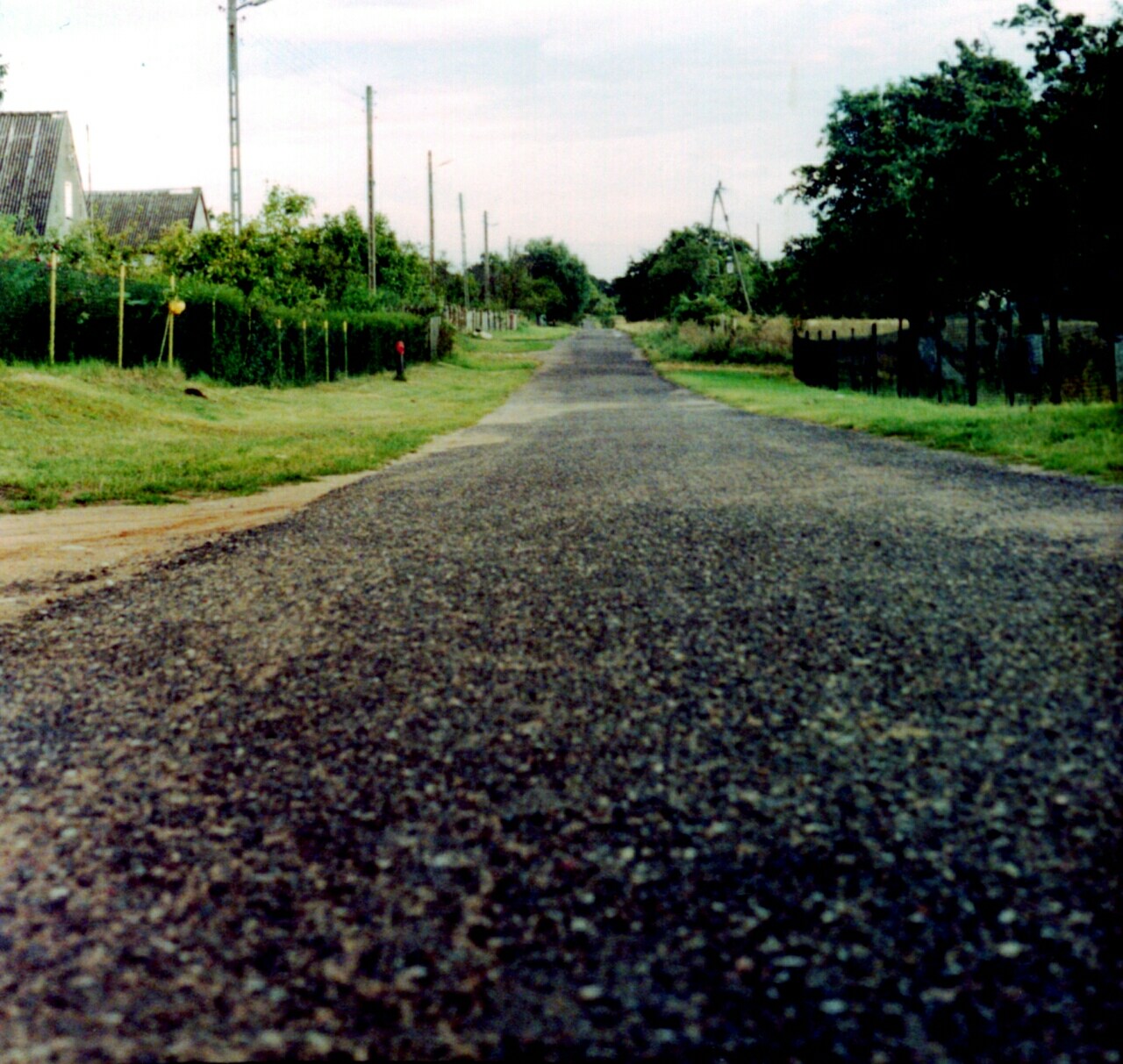 Photography by xfreetwo for DesignCrowd (Community Contests) | Design #9129159