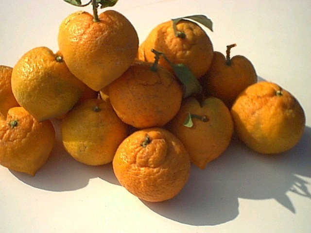 Photoshop-Design von Nana für DesignCrowd (Community Contests) | Design #9130121