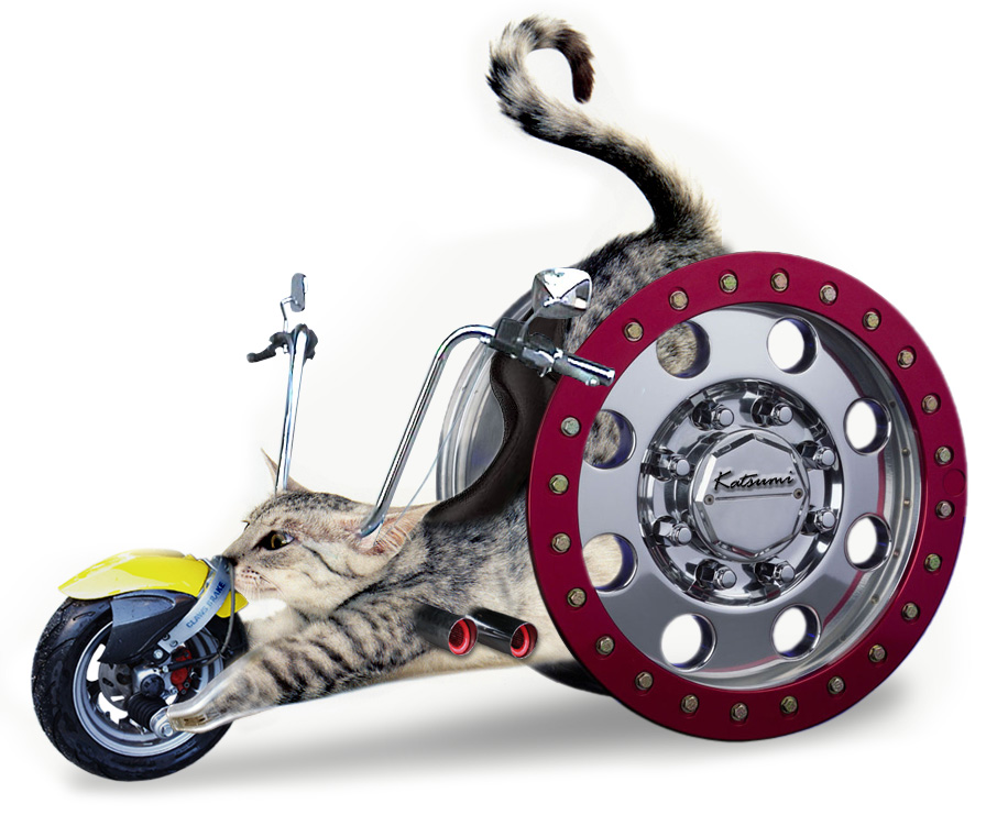 Photoshop Design by vustarama for DesignCrowd (Community Contests) | Design #9132122