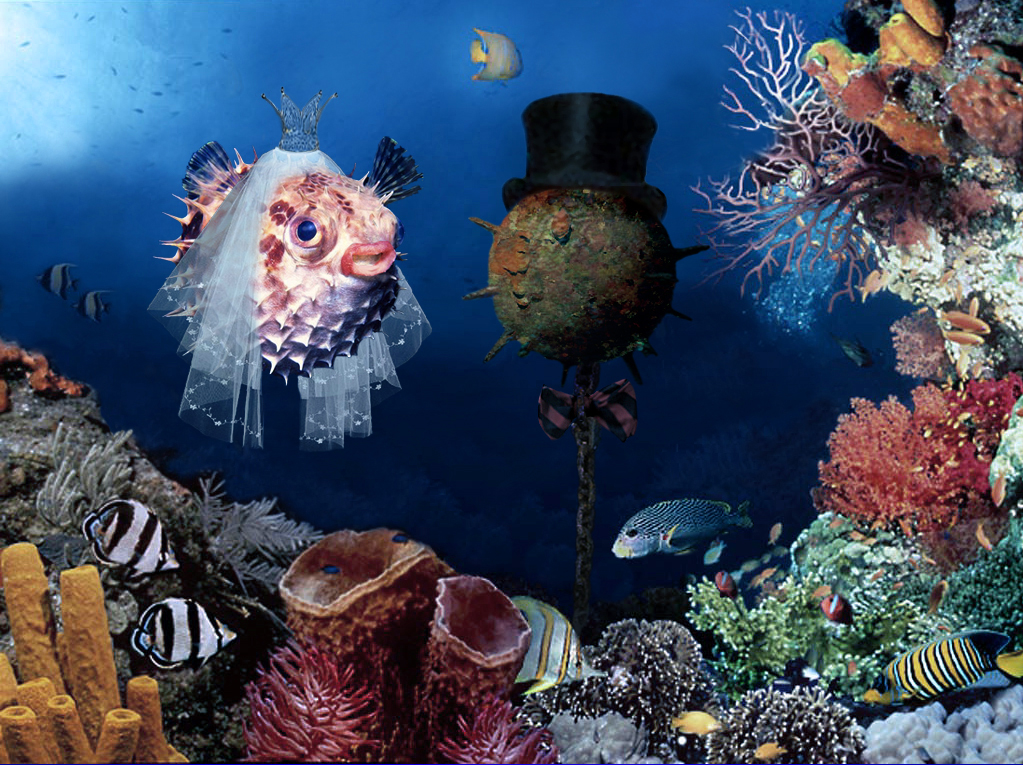 Photoshop Design by Norrit for DesignCrowd (Community Contests) | Design #9124806