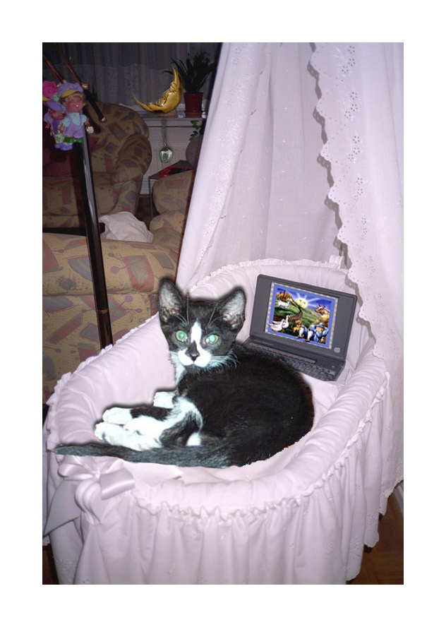 Diseño de Photoshop por 2manyusernames para DesignCrowd (Community Contests) | Diseño #9134819