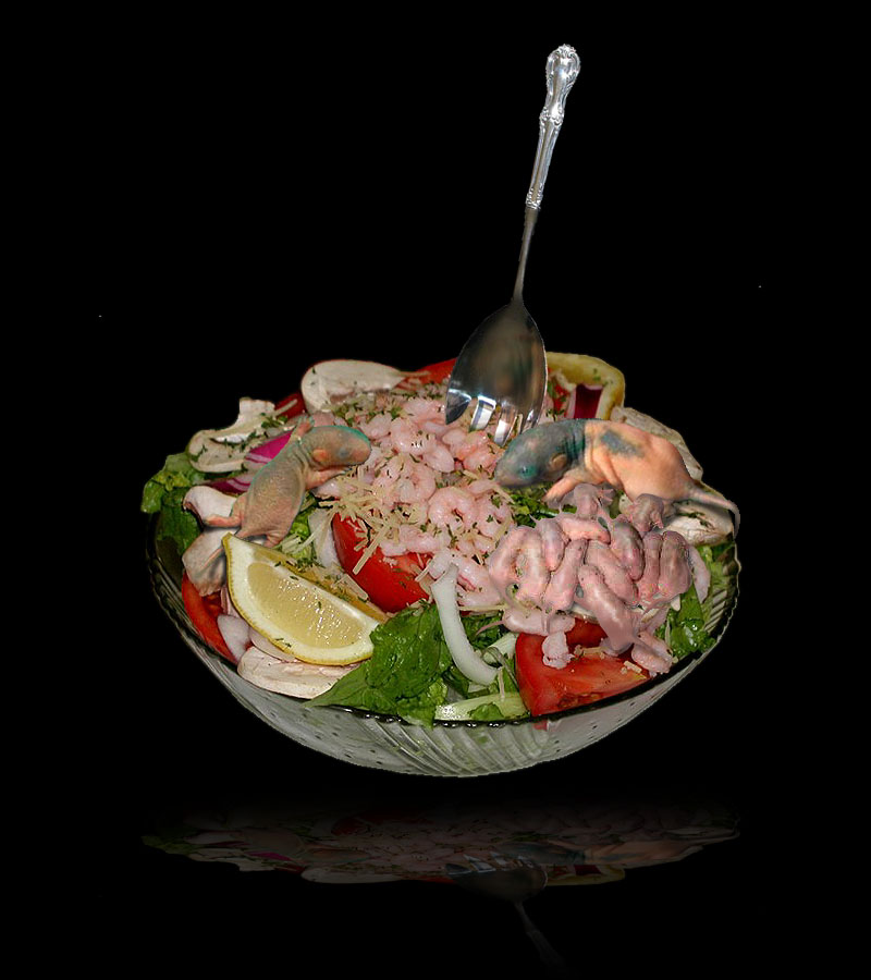 Diseño de Photoshop por MrArif para DesignCrowd (Community Contests) | Diseño #9134798