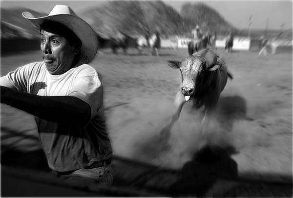 Design Photoshop par renatodornas pour DesignCrowd (Community Contests) | Design #9129760