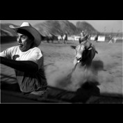 Photoshop Design by renatodornas