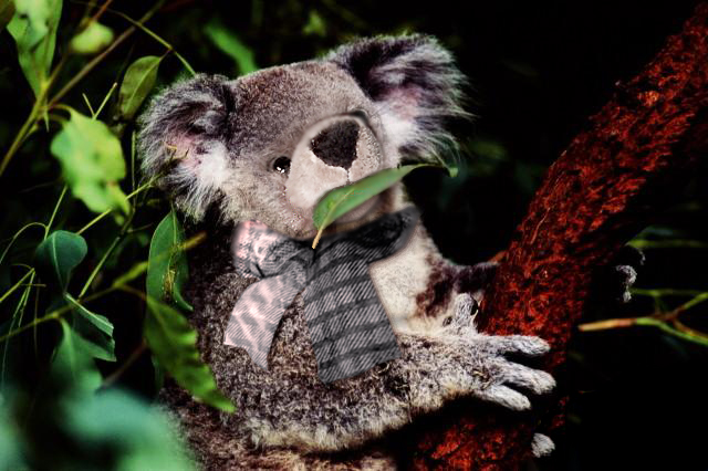 Design Photoshop par partlypurple pour DesignCrowd (Community Contests) | Design #9128759