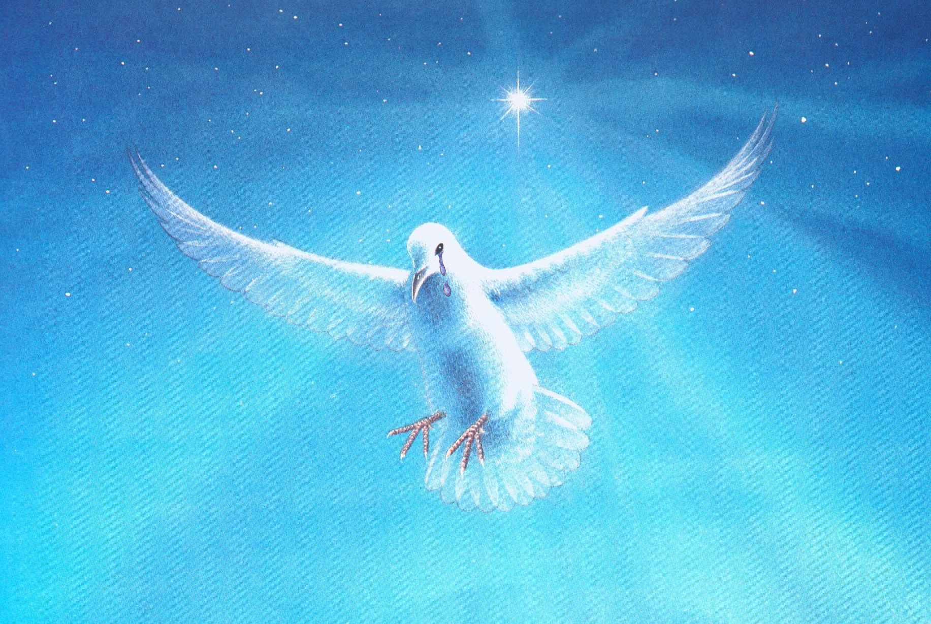 Photoshop Design by nikki251 for DesignCrowd (Community Contests) | Design #9134872