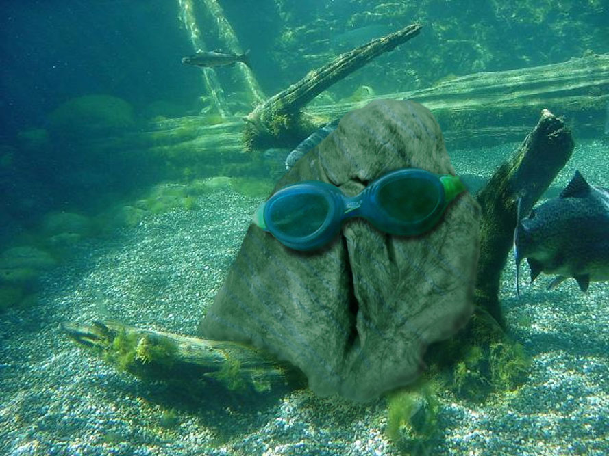 Design Photoshop par mgeoffrey pour DesignCrowd (Community Contests) | Design #9134862