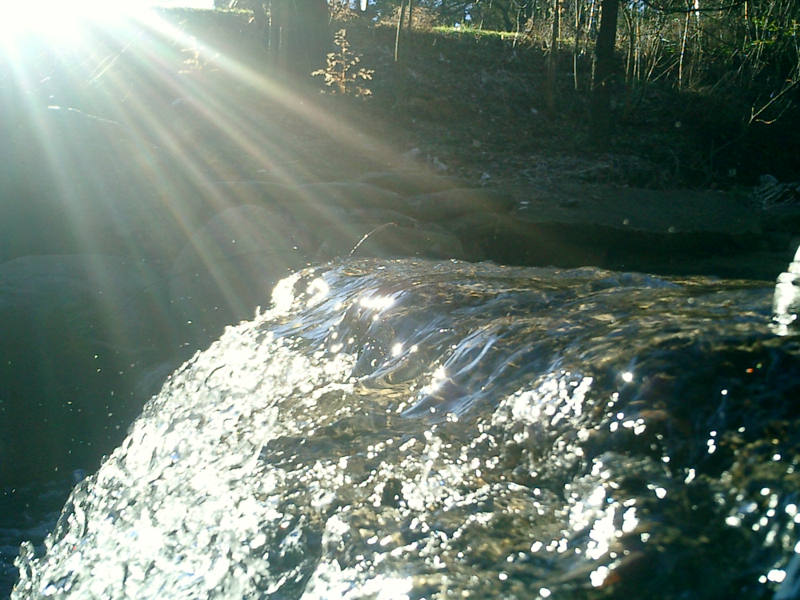 Photography by vipez for DesignCrowd (Community Contests) | Design #9124196