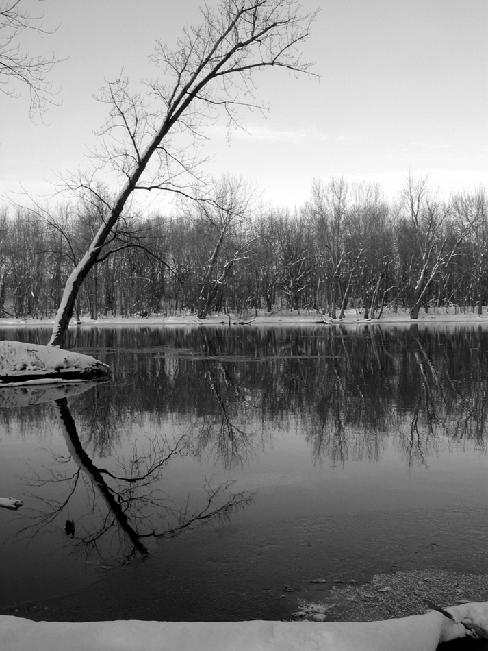 Fotografie von dinostar für DesignCrowd (Community Contests) | Design #9124195