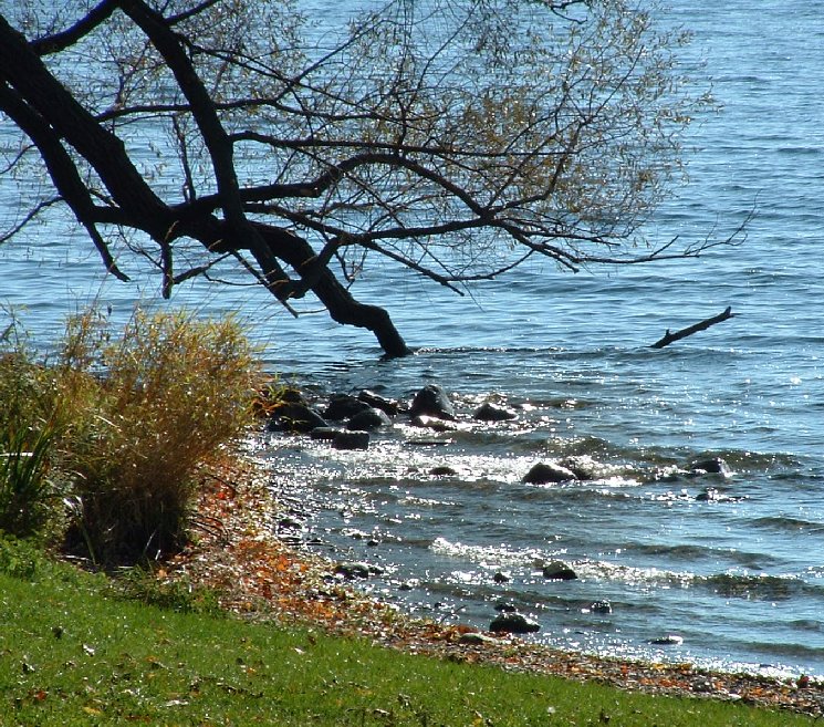 Fotografie von MrsFuzzButt für DesignCrowd (Community Contests) | Design #9124198