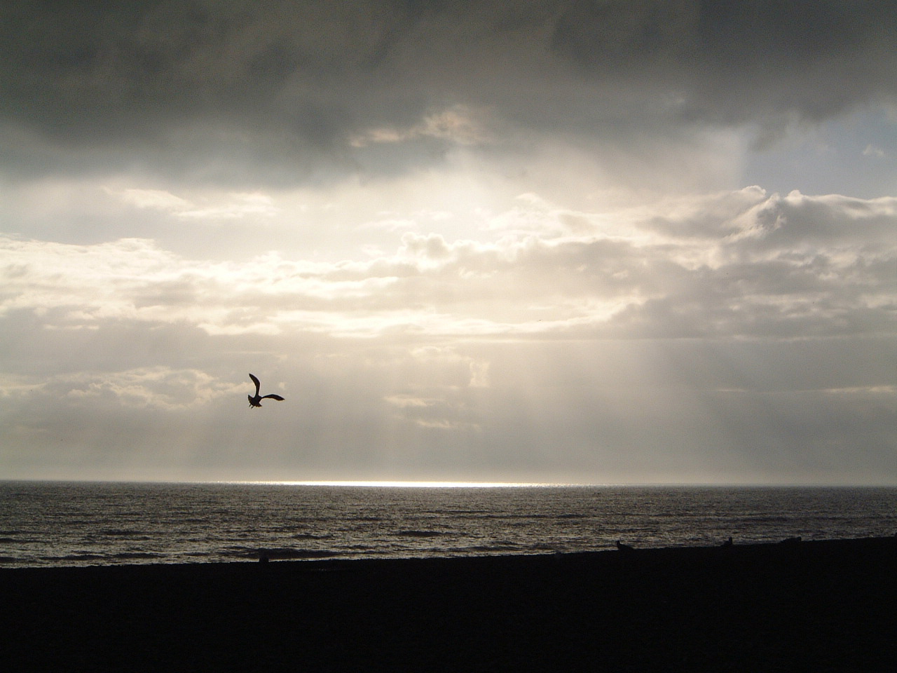 Photographie par arniie pour DesignCrowd (Community Contests) | Design #9124219