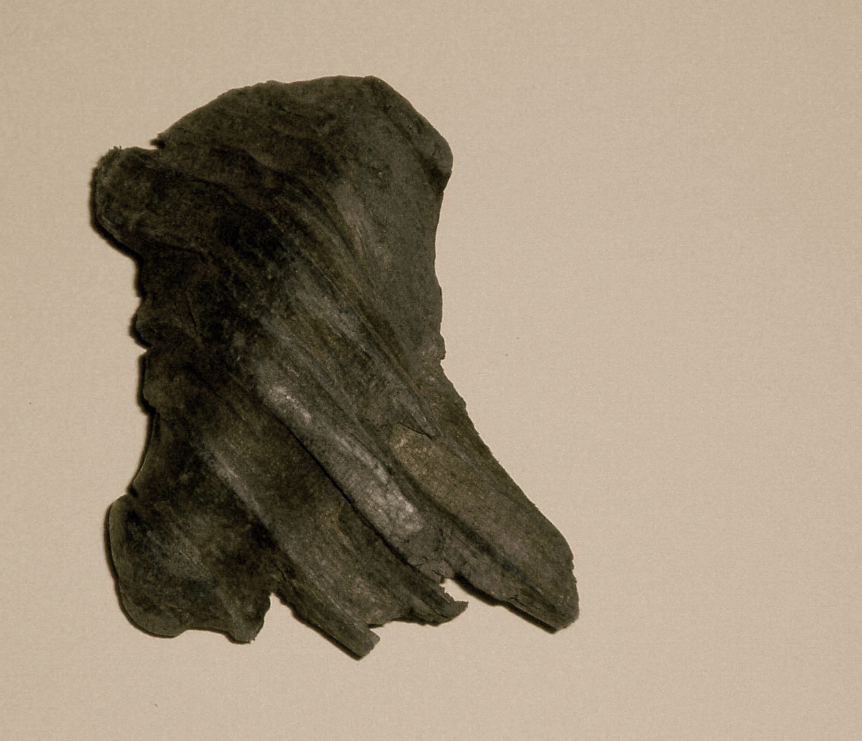 Fotografie von CerysJ für DesignCrowd (Community Contests) | Design #9113425