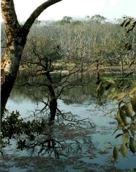 Fotografía por vgmn1956 para DesignCrowd (Community Contests) | Diseño #9124224