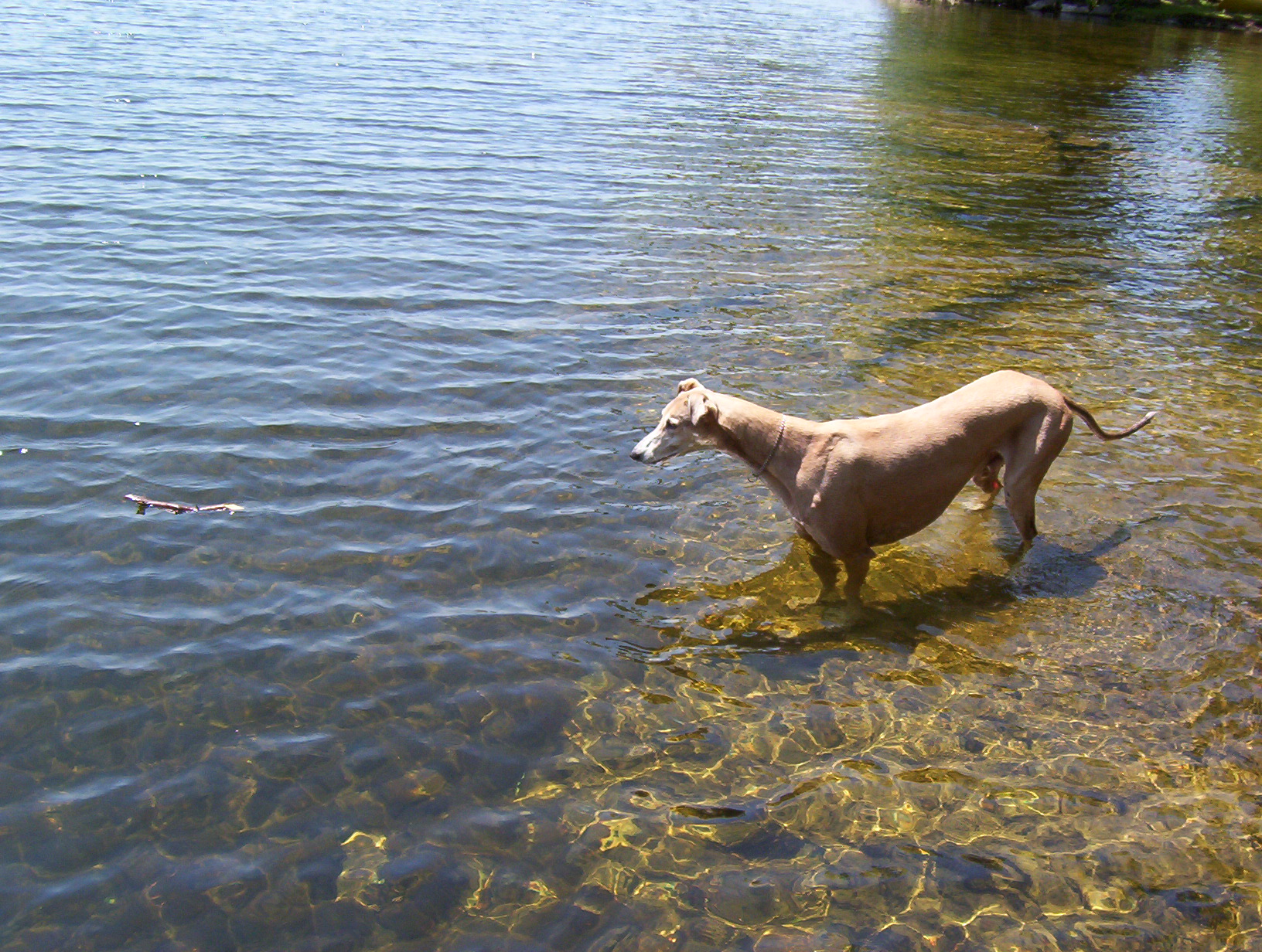 Photography by pieboyyy for DesignCrowd (Community Contests) | Design #9124313