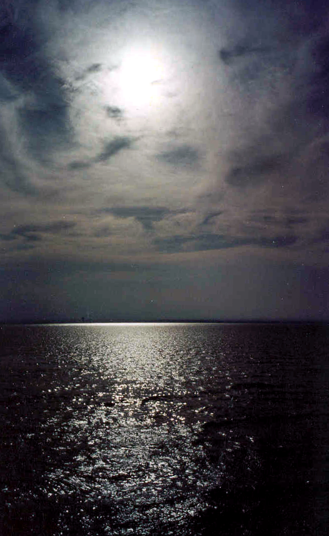 Photography by smilingface for DesignCrowd (Community Contests) | Design #9124370