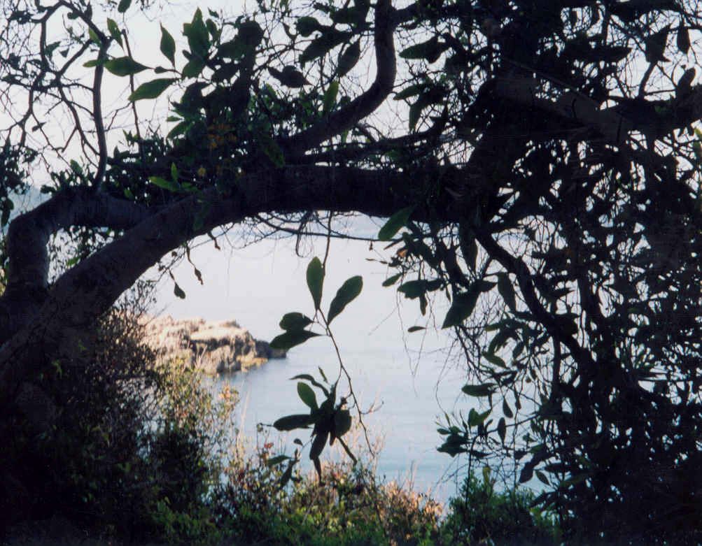 Photographie par smilingface pour DesignCrowd (Community Contests) | Design #9104355