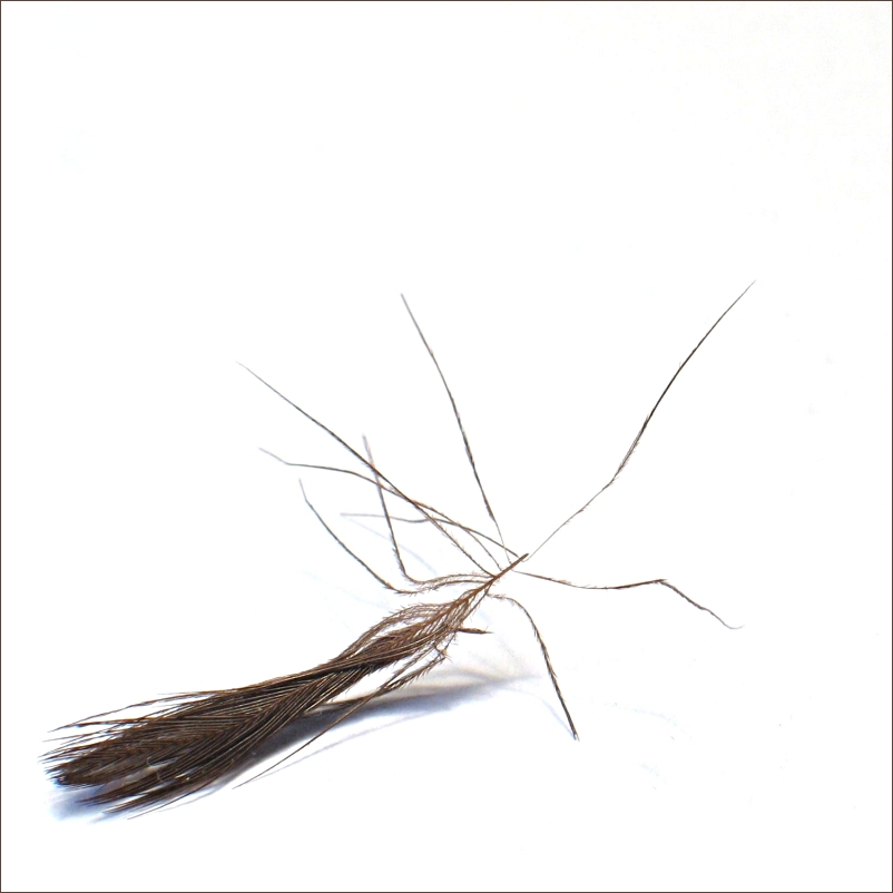 Photography by Jondor for DesignCrowd (Community Contests) | Design #9113512