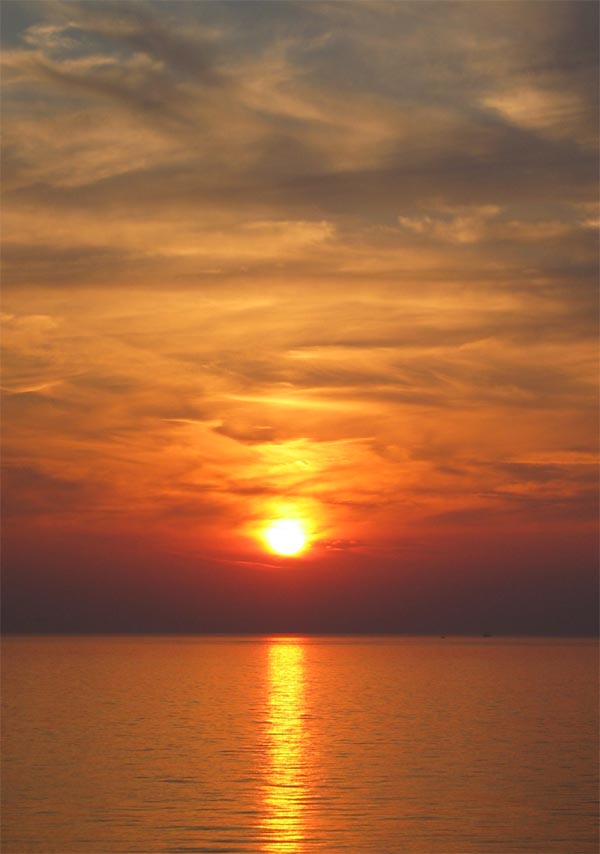 Photography by FireFox for DesignCrowd (Community Contests) | Design #9124462