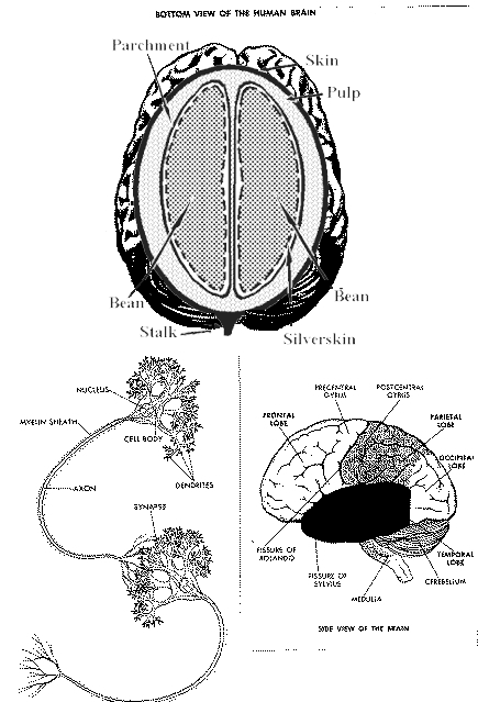 Photoshop-Design von MadamXelda für DesignCrowd (Community Contests) | Design #9113151