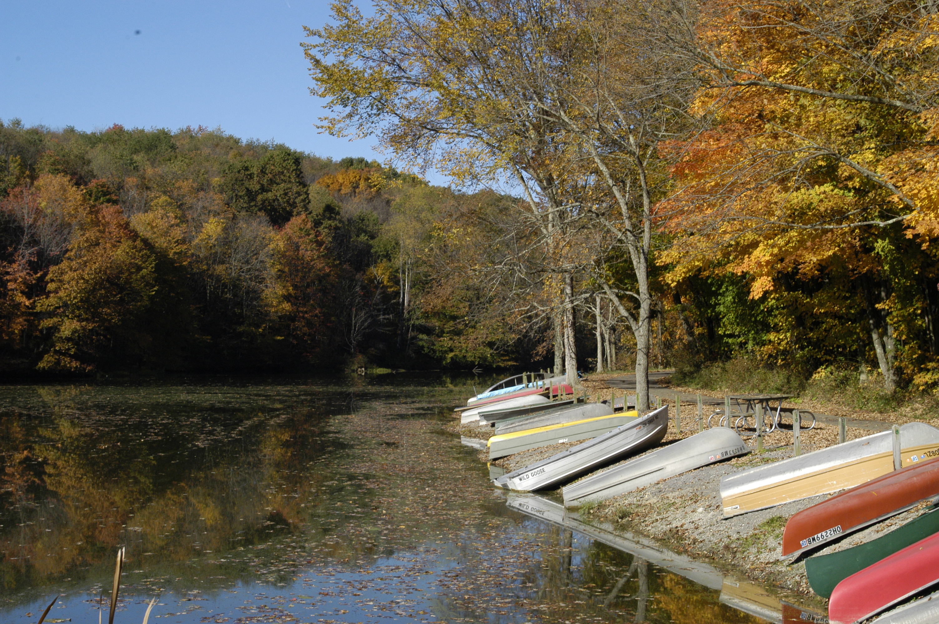 Fotografía por oneguy para DesignCrowd (Community Contests) | Diseño #9124457