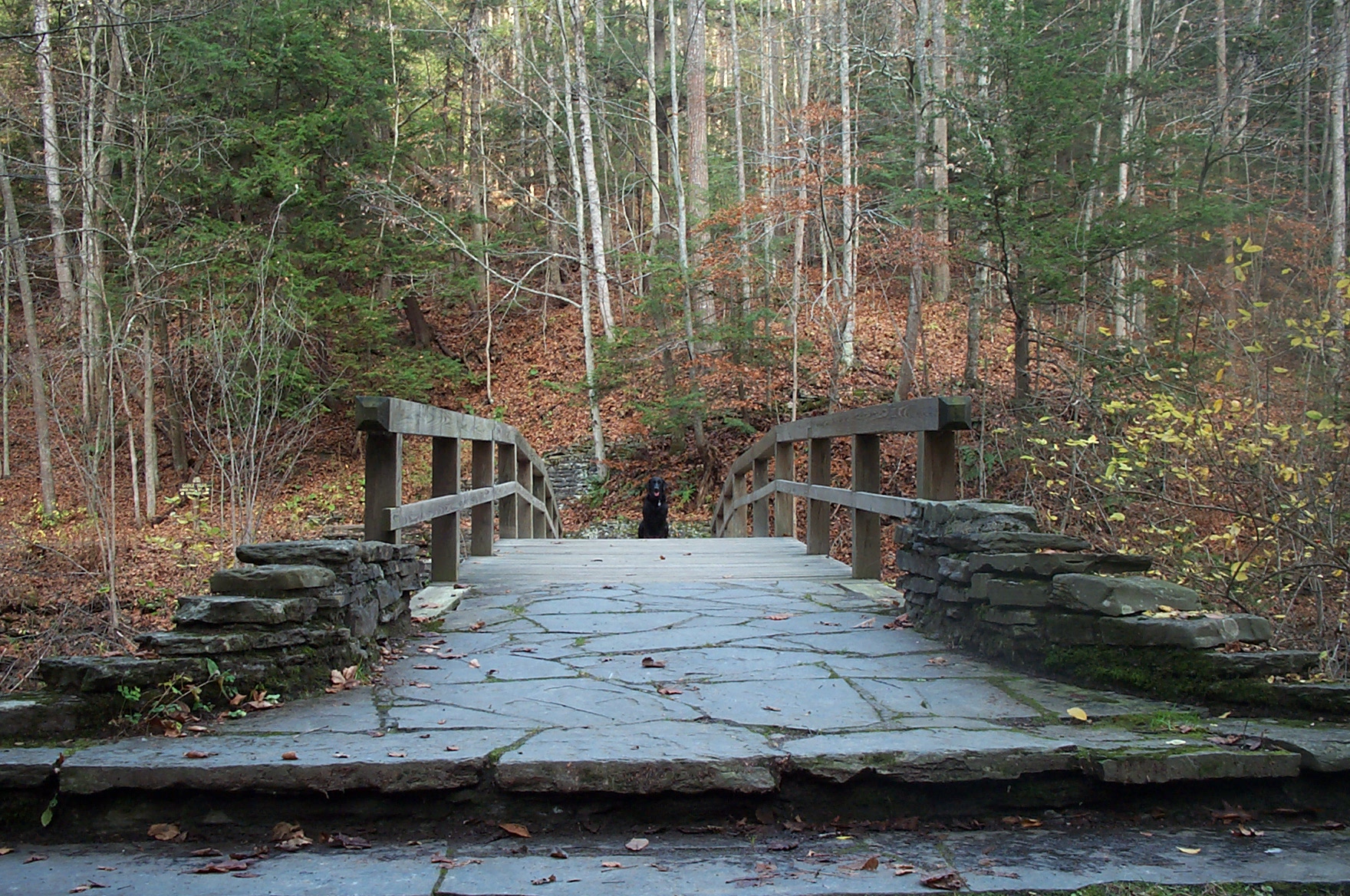 Fotografía por scotty2hotty para DesignCrowd (Community Contests) | Diseño #9104409