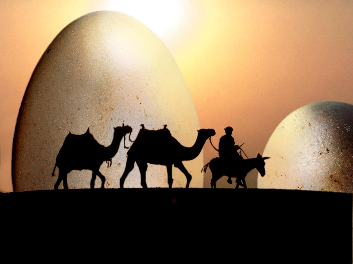 Photoshop Design by Tommy1de for DesignCrowd (Community Contests) | Design #9124654