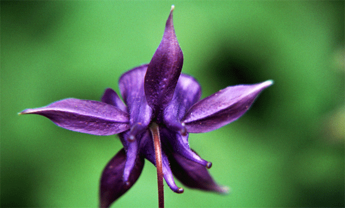 Photography by goblin for DesignCrowd (Community Contests) | Design #9113568