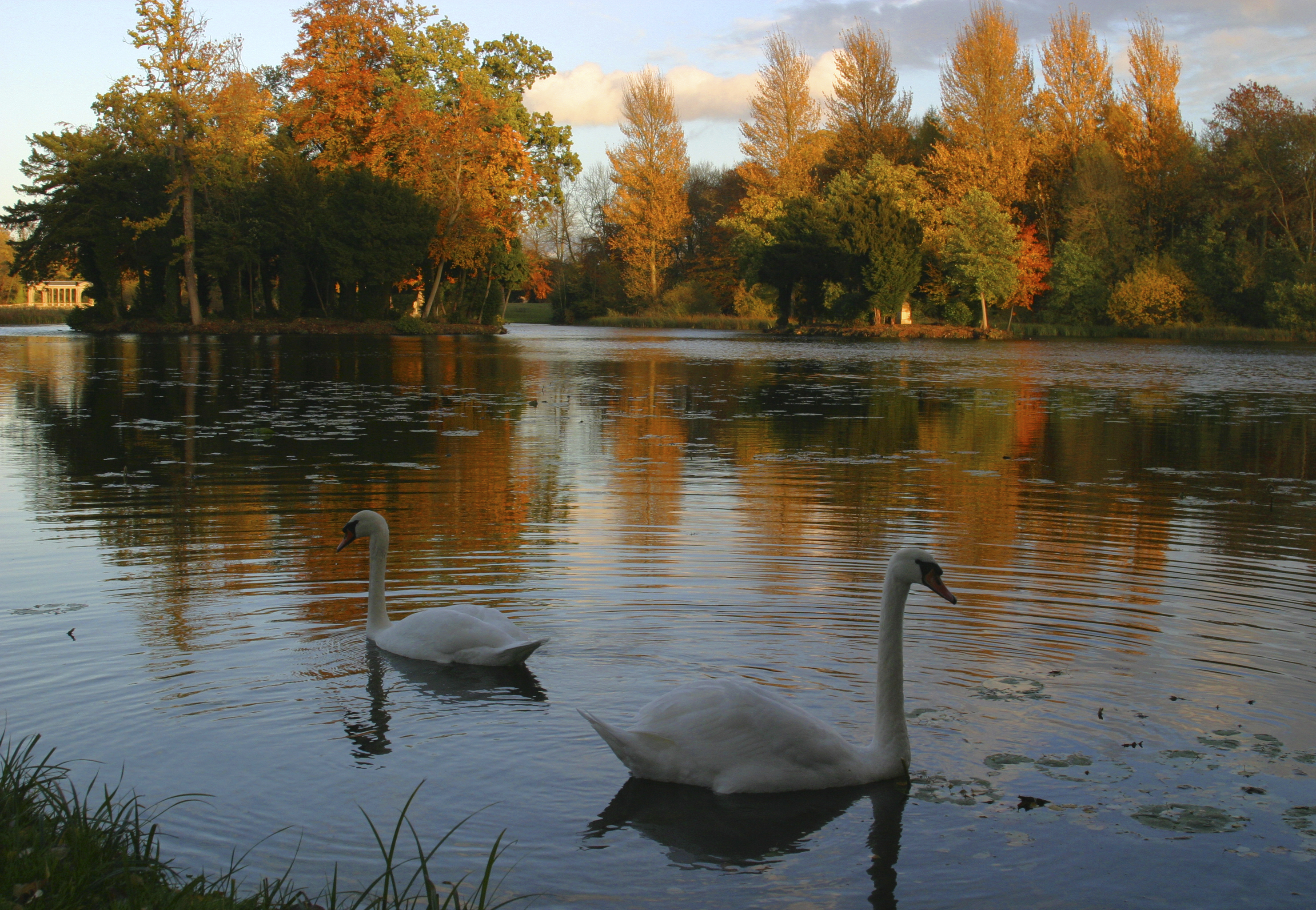 Photographie par cuzzie pour DesignCrowd (Community Contests) | Design #9124542