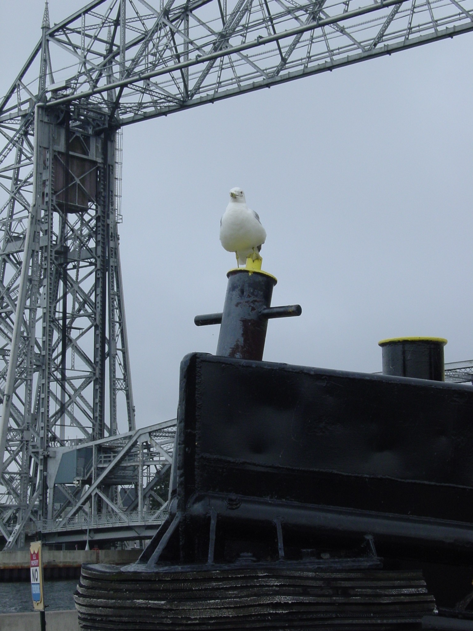 Photography by yusaku for DesignCrowd (Community Contests) | Design #9104437