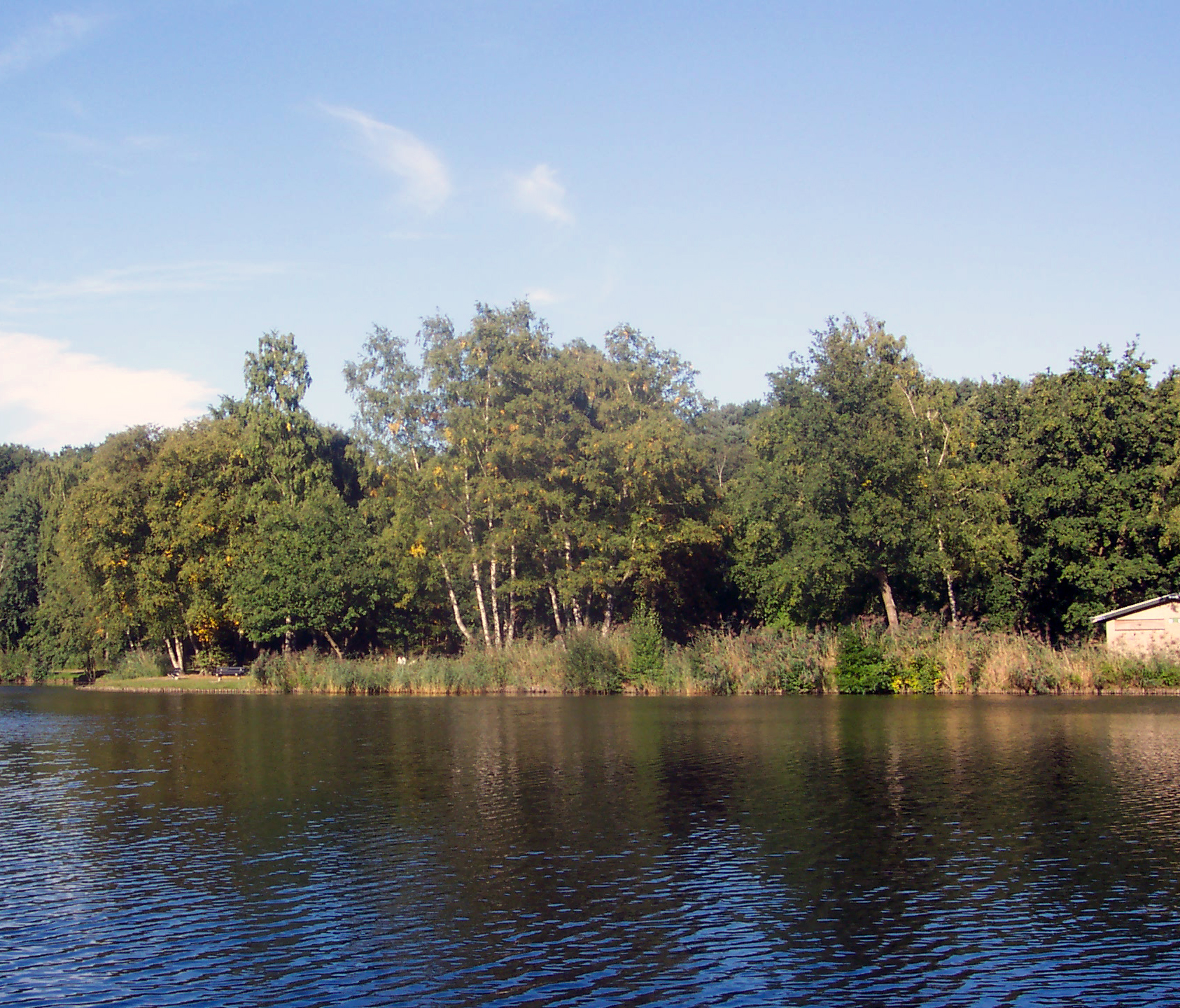 Photography by nikki251 for DesignCrowd (Community Contests) | Design #9124555