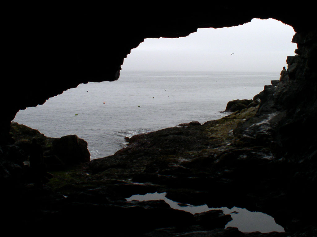 Photography by Spork_of_doom for DesignCrowd (Community Contests) | Design #9104416