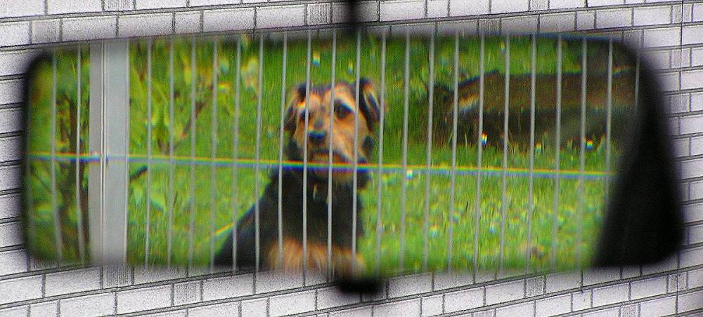 Photography by TyChO for DesignCrowd (Community Contests) | Design #9104406