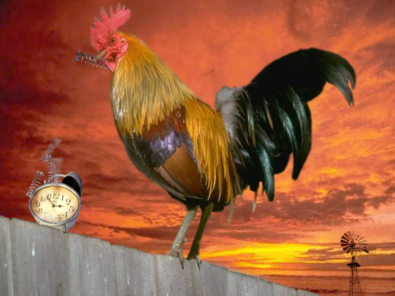 Photoshop-Design von NitroButler für DesignCrowd (Community Contests) | Design #9110814