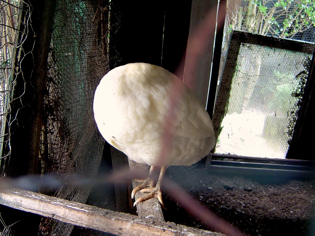 Photoshop Design by neturnia for DesignCrowd (Community Contests) | Design #9124765