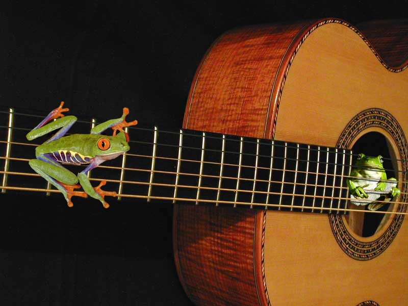 Photoshop Design by Groggie for DesignCrowd (Community Contests) | Design #9110846