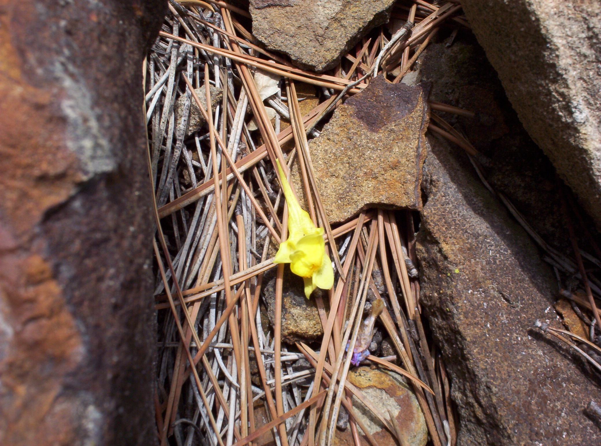 Photography by Spook for DesignCrowd (Community Contests) | Design #9113557