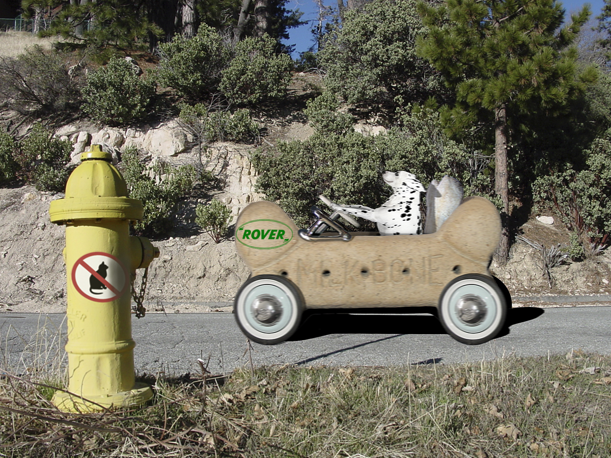 Photoshop Design by HooskerRoo for DesignCrowd (Community Contests) | Design #9110839