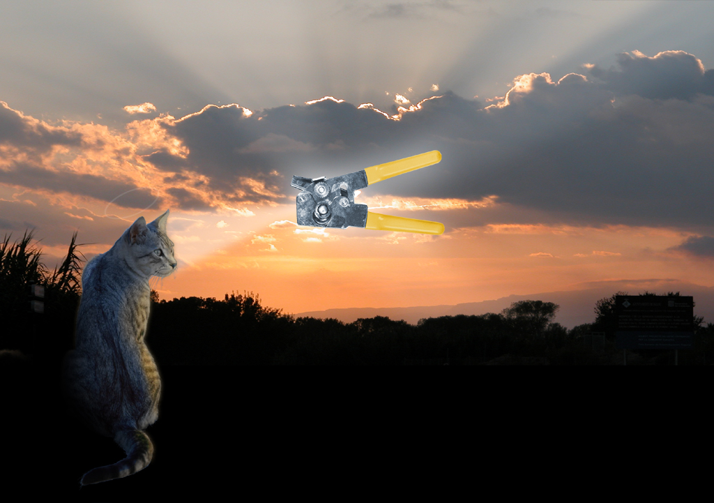 Diseño de Photoshop por fzwarkatootl para DesignCrowd (Community Contests) | Diseño #9110907