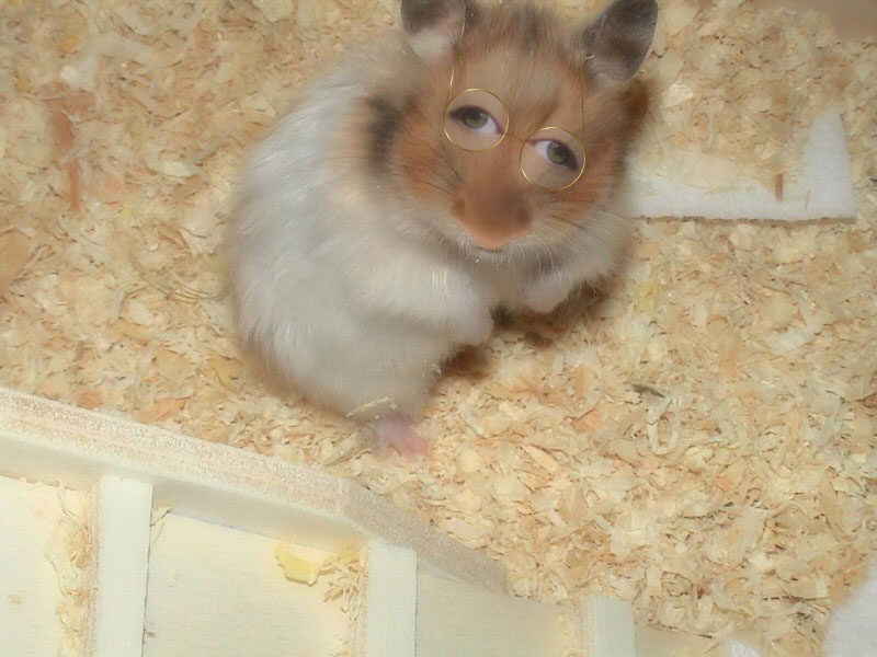 Photoshop-Design von reallyme für DesignCrowd (Community Contests) | Design #9104218