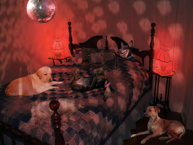 Photoshop Design by dsagrera for DesignCrowd (Community Contests) | Design #9110876