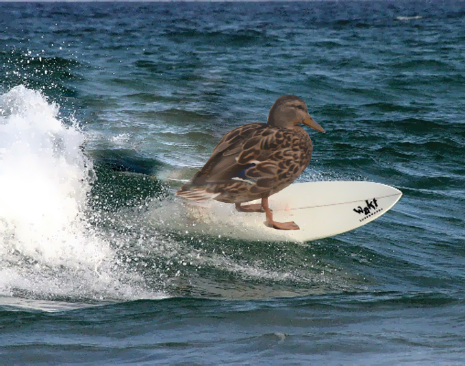 Photoshop Design by Peibes for DesignCrowd (Community Contests) | Design #9110889