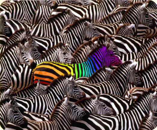 Photoshop Design by nimsraw for DesignCrowd (Community Contests) | Design #9110937